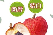 灵山荔枝什么时候成熟上市？（探究灵山荔枝的生长周期和上市时间）