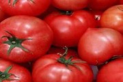 如何保存西红柿？（最佳方法及关键注意事项）