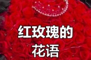 红玫瑰的花语与意义（浪漫、热情、真爱的象征）