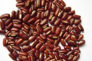 红豆的外形与特征（探秘红豆的形态、颜色及营养）