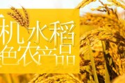 水稻——主食之源（从起源到现代化，探究水稻的发展历程）