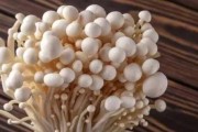 金针菇的冷冻保存方法（正确的处理方式让味道更好）