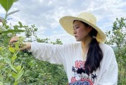 蓝莓在湖南的种植情况（适合种植的地区和注意事项）
