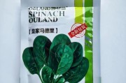 菠菜种植技巧详解（什么时候播种最好？种植误区有哪些？）