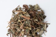 探秘苦地丁的神奇功效（一种有着神奇疗效的草药——苦地丁）
