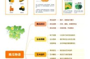 南瓜的生长环境和特点（南瓜的生长条件、生态角色和产量优化）