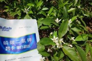 花生是否忌氯作物？（解析花生种植中的氯离子问题，保障产量与质量）