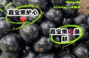 解决嘉宝果不开花的方法（全面分析如何提高果树开花率）