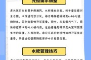 虎头茉莉的养护方法（如何正确上盆和喂养虎头茉莉植物？）