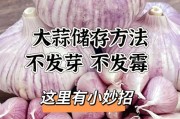如何储存大蒜？（保鲜技巧与注意事项，让大蒜更香更好吃）