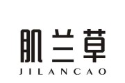 如何拯救兰草？——兰草打蔫的应对措施
