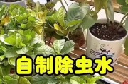 打造繁花似锦的花园之道（探索养花的诀窍，让花儿长势旺盛）
