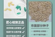 如何种植康乃馨种子（种植方法、时间、环境、注意事项）