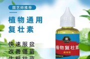 救救多肉！多肉僵苗怎么办？（如何拯救多肉僵苗，让它们重生？）