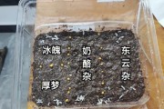 如何种植发芽种子（从挑选到浇水，一步步教你种植健康的发芽植物）