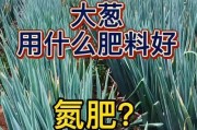 旱半夏最适宜使用哪种肥料？——全面解析旱半夏的肥料需求