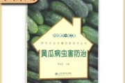 黄瓜病虫害防治方法综合预防措施（保护黄瓜生长，呵护丰收“瓜果”）