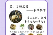 澳洲石斛的养殖技巧（成功种植澳洲石斛的注意事项与方法）