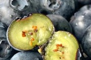 蓝莓果肉是什么颜色？（探究蓝莓的颜色特点与营养成分）