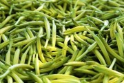 黄花菜种植全攻略（时间、方法、注意事项）