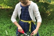 代表父亲的植物盘点（15种植物，代表着不同的父亲形象）