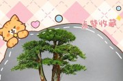 红豆杉主干干黄的原因与治理措施（保护红豆杉，关注主干干黄问题）
