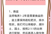 多肉换土换盆的步骤详解（全面掌握多肉换盆技巧，让多肉更健康）