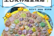 夏天养护石花的浇水技巧（合理浇水，让石花健康茁壮）