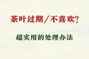 喝剩的茶叶水还能“挪用”？——茶叶水对植物的影响