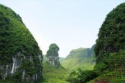 种树好去处——石山（了解石山，让你选对树种）