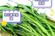 空心菜的种植与营养（探究空心菜的生长环境、烹饪方式和营养价值）