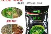 火龙果的药用价值及适宜药材搭配（激活身体免疫力促进健康生活）