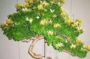 金银花种植（探究金银花种植的盆土深度选择，为您的家园选择最优盆土深度！）