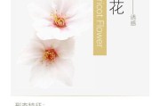 桃花花语与寓意（桃花代表的花语及文化含义）