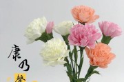 25朵玫瑰花花语解读（玫瑰花语传递的意义和象征）