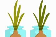 红薯发芽种植全攻略（如何迅速让红薯发芽和种植技巧）