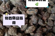 何首乌种子的种植方法详解（从选种到收获，轻松掌握何首乌种植技巧）