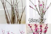 红梅花的养殖方法与注意事项（打造美丽庭院，从红梅花开始）