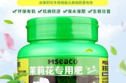 绿萝肥料知多少（养护新手必看，让绿萝更健康）