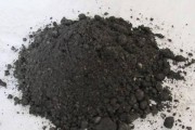 君子兰白色粉末的成因及处理方法（探究君子兰叶片上出现白色粉末的原因，为你解决疑惑）
