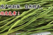 贡菜，中国南方特有的山珍佳肴（探秘贡菜的历史、产地、味道与烹饪方法）