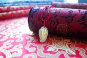 神奇的金枝玉叶（粉红色叶子）