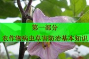 蔬菜病虫害防治技术与方法措施（提高农业生产效益的关键）