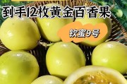 百香果成熟上市时间及相关知识（百香果的品种和生长环境、采摘要点、营养价值和食用方法等）