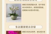 如何选择最适合蝴蝶兰的肥料？（通过选用正确的肥料，让你的蝴蝶兰茁壮成长）