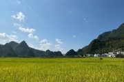 六月最适合种植的农作物（多种蔬菜、水果，满满的收获季节）