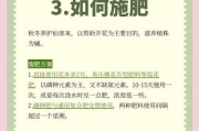 仙客来移植养护宝典（打造美丽庭院的关键步骤与技巧）
