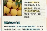 黄桃的储存方法（保存美味的黄桃，享受健康生活）