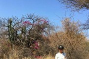 山影拳养殖指南（一步步教你如何养好山影拳）
