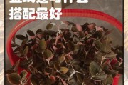 金线莲的药用价值及入药方法（探索金线莲的药用功效和正确使用方法，从而提高人们的健康水平。）